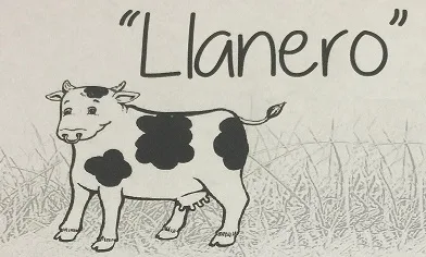 LLANERO