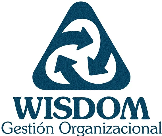 WISDOM Gestión Organizacional