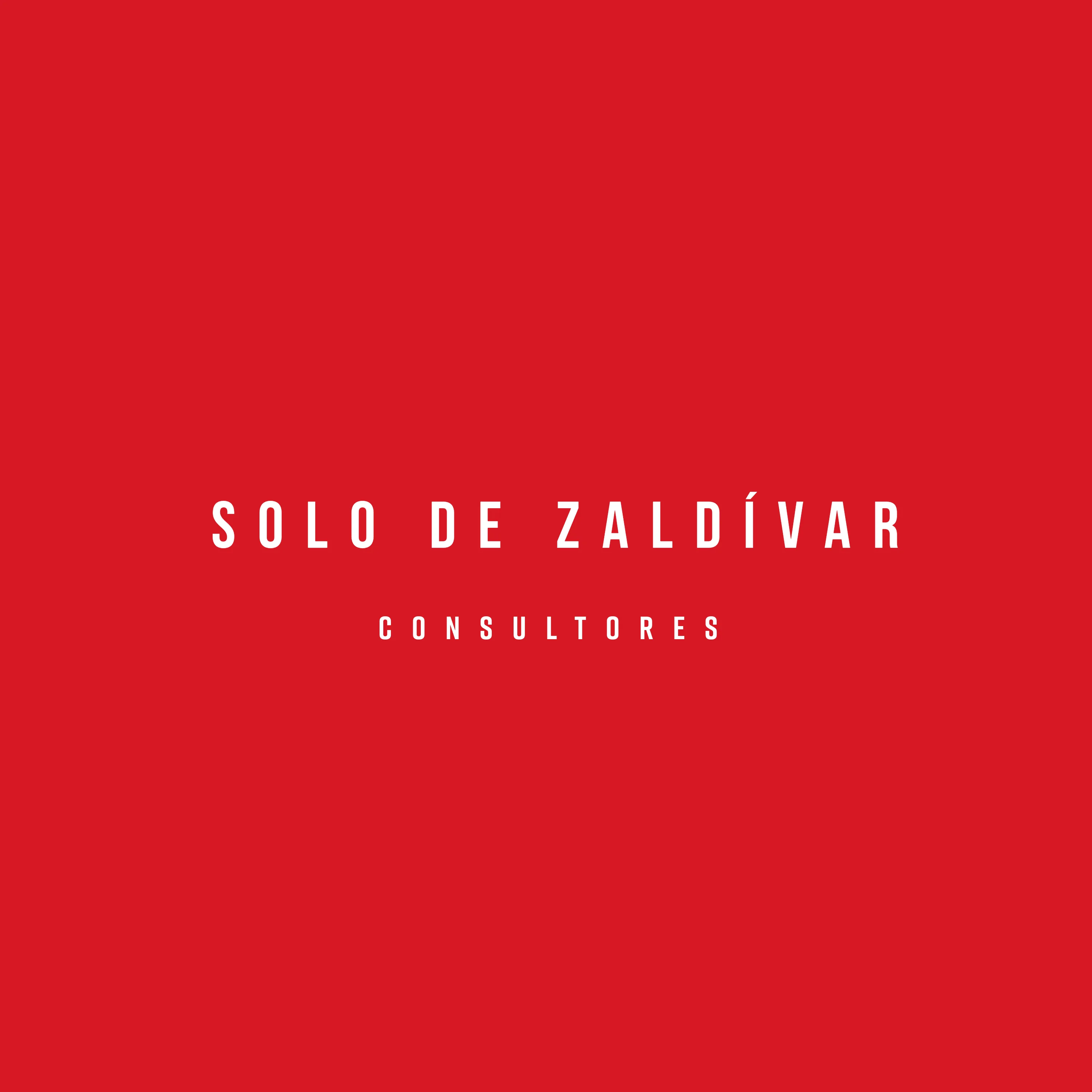 SOLO DE ZALDÍVAR CONSULTORES