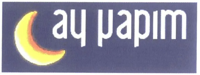 ay yapim