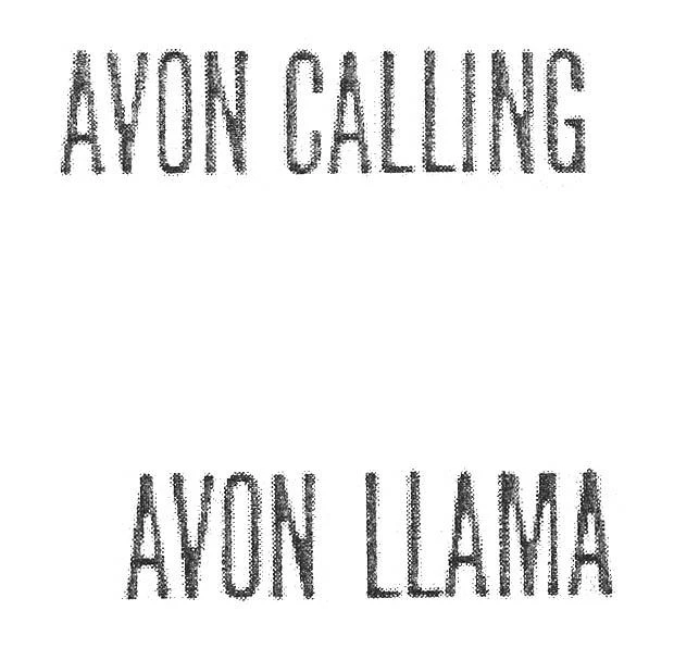 AVON CALLING AVON LLAMA