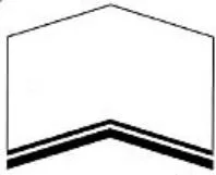 Acta 1118203