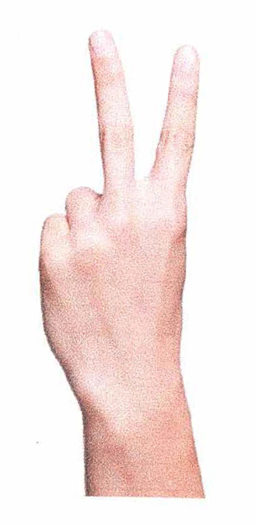 Acta 1182203