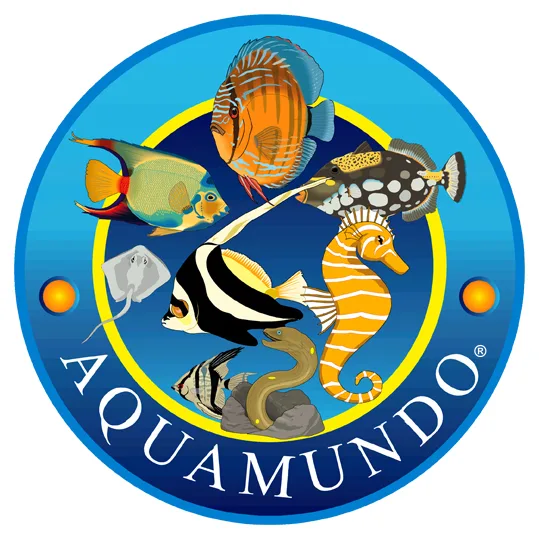 AQUAMUNDO