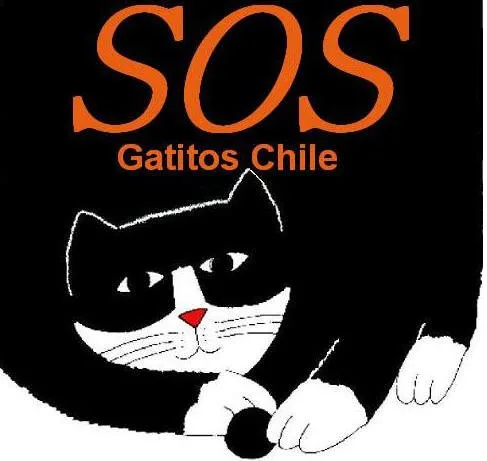 SOS Gatitos Chile