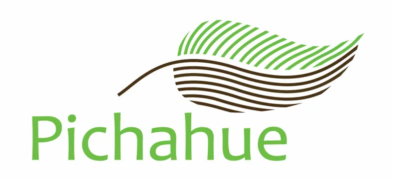PICHAHUE