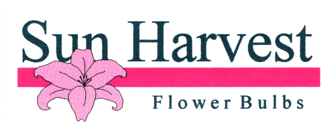 SUN HARVEST