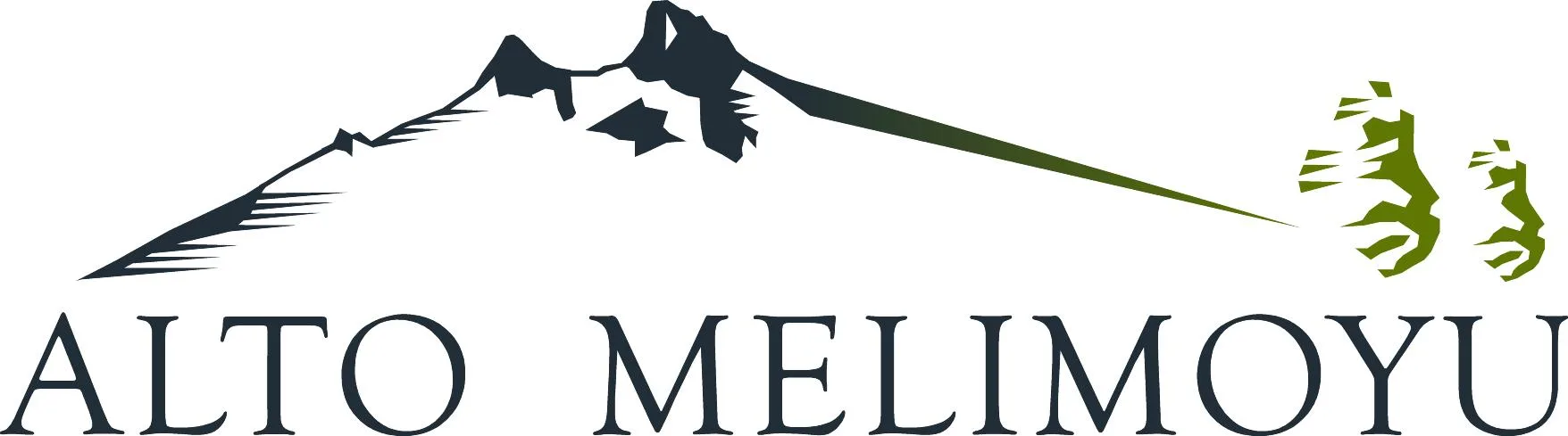 ALTO MELIMOYU