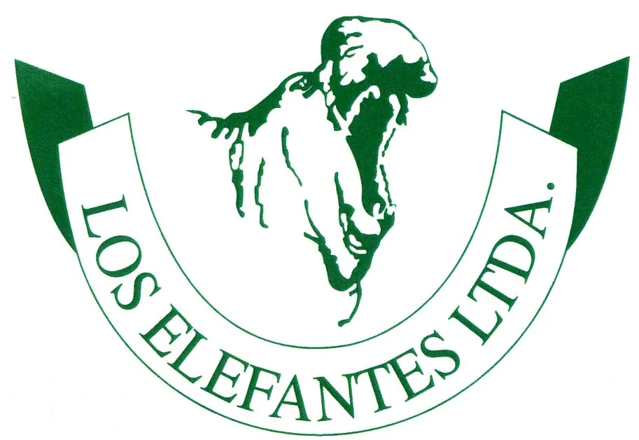 LOS ELEFANTES LTDA.