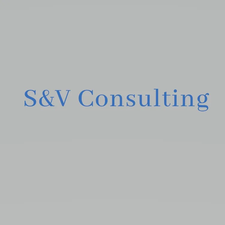S&V Consulting