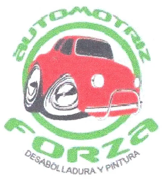 AUTOMOTRIZ FORZA