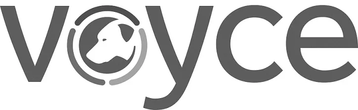 VOYCE