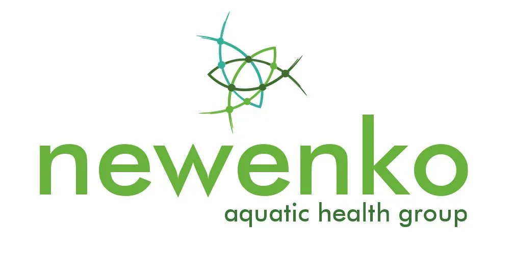 NEWENKO