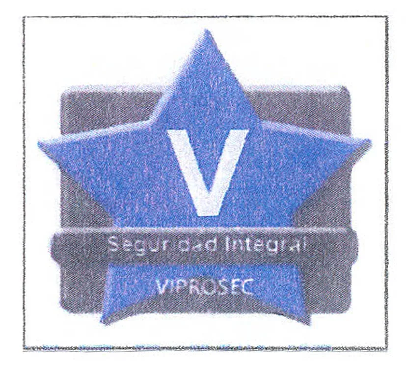 V SEGURIDAD INTEGRAL VIPROSEC