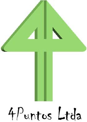 4PUNTOS LTDA