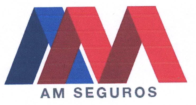 AM SEGUROS