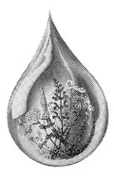Acta 1184209