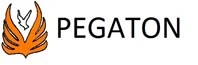 PEGATON