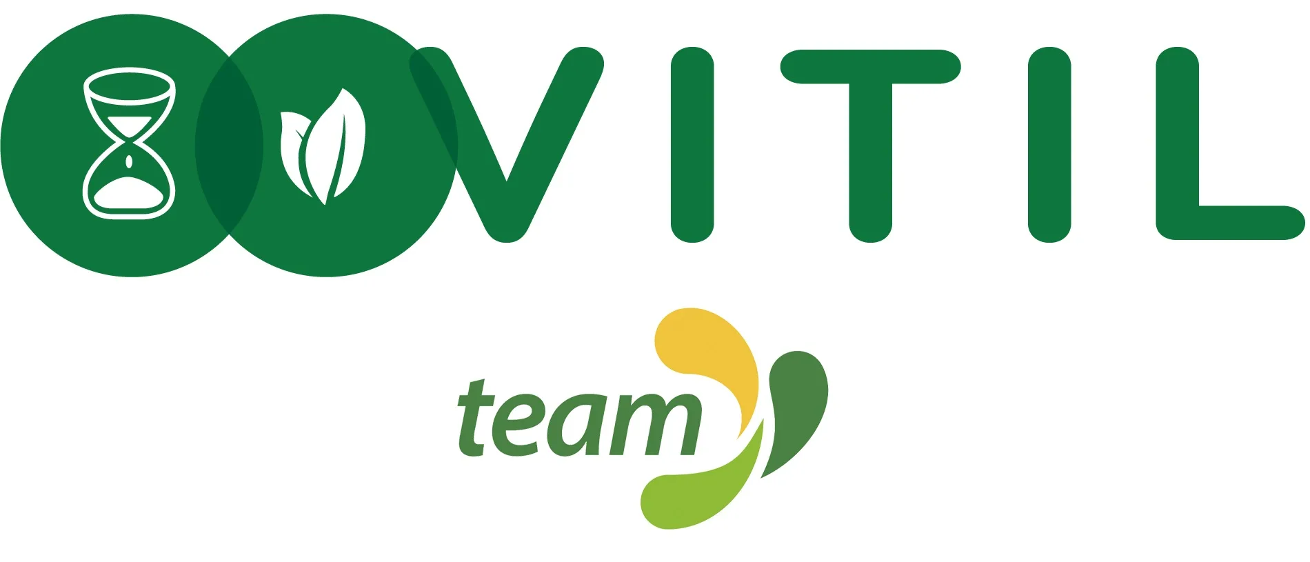 VITIL team
