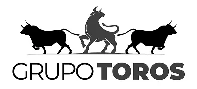 GRUPO TOROS