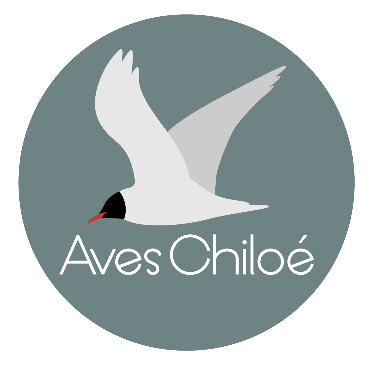 Aves Chiloé