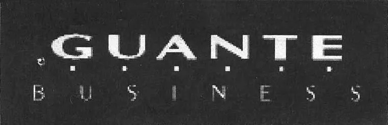 GUANTE BUSINESS