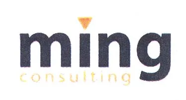 MING CONSULTING
