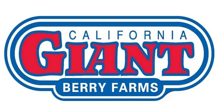 CALIFORNIA GIANT BERRY FARMS