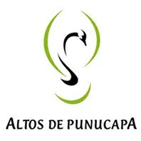 ALTOS DE PUNUCAPA