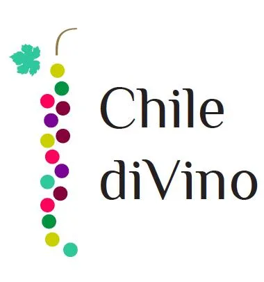 Chile diVino