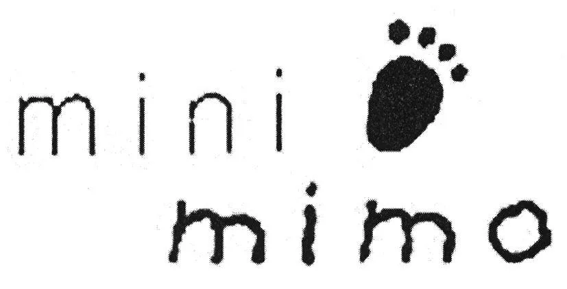 MINI MIMO