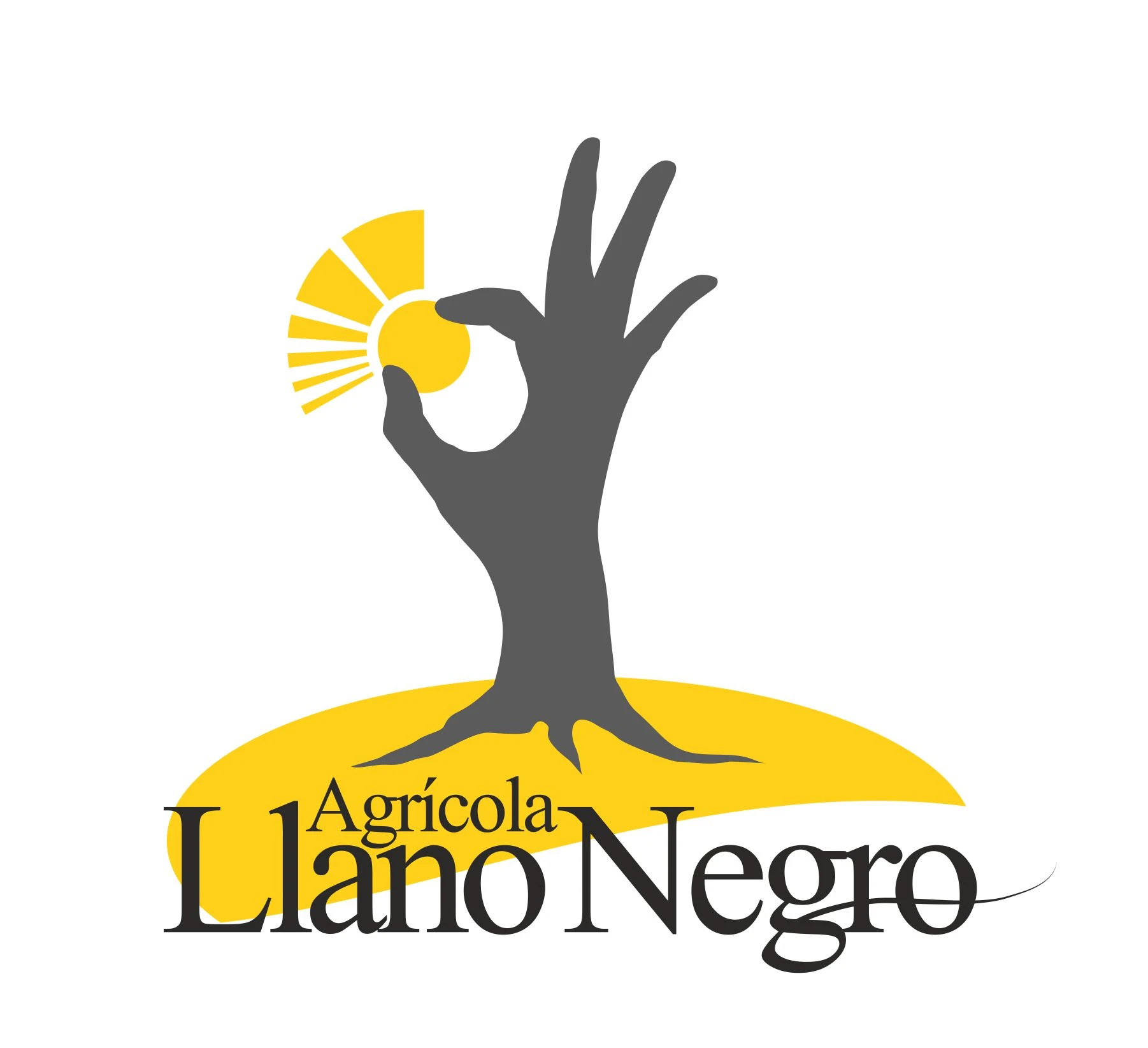 AGRICOLA LLANO NEGRO