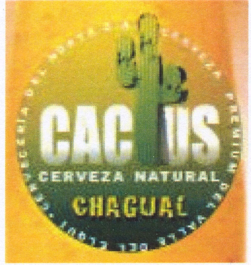 CACTUS CHAGUAL