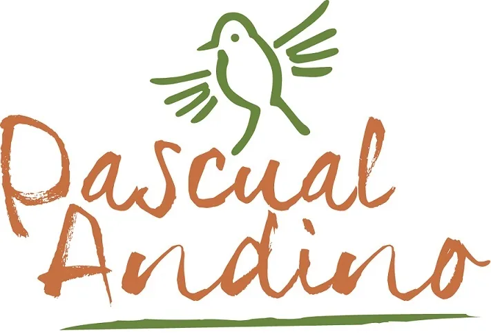 Pascual Andino