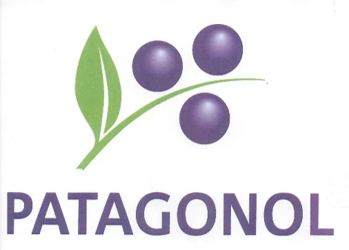 PATAGONOL