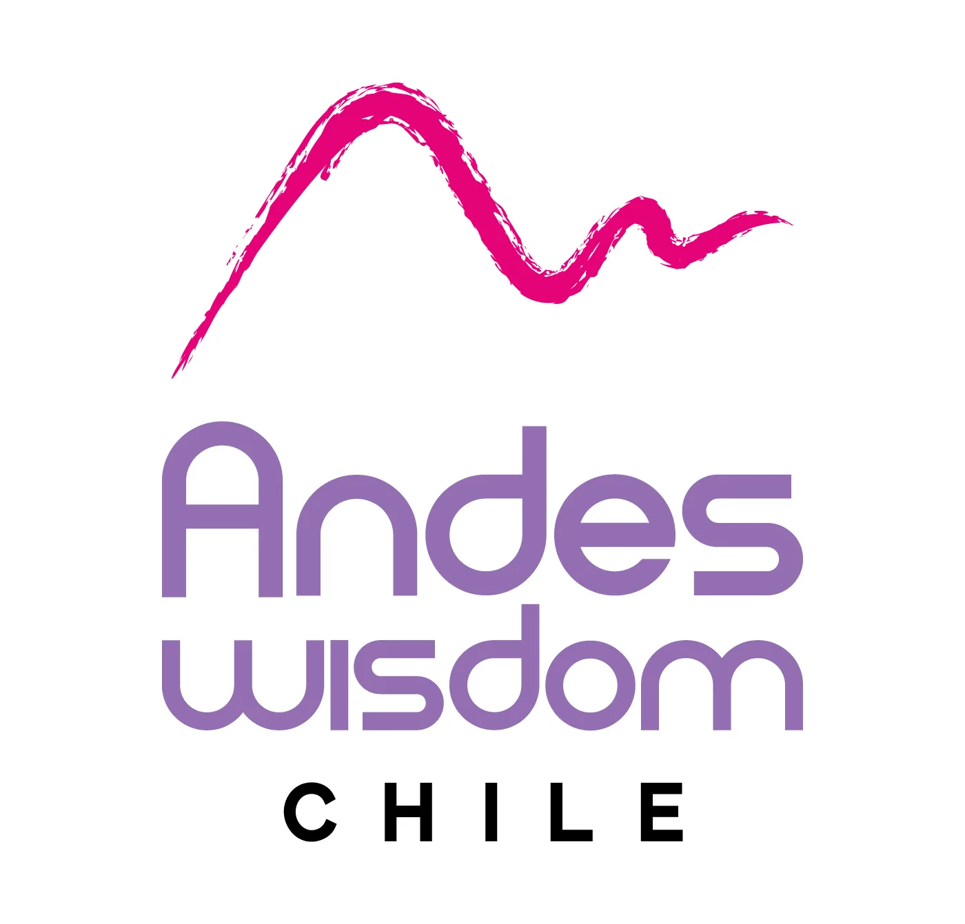 ANDES WISDOM CHILE
