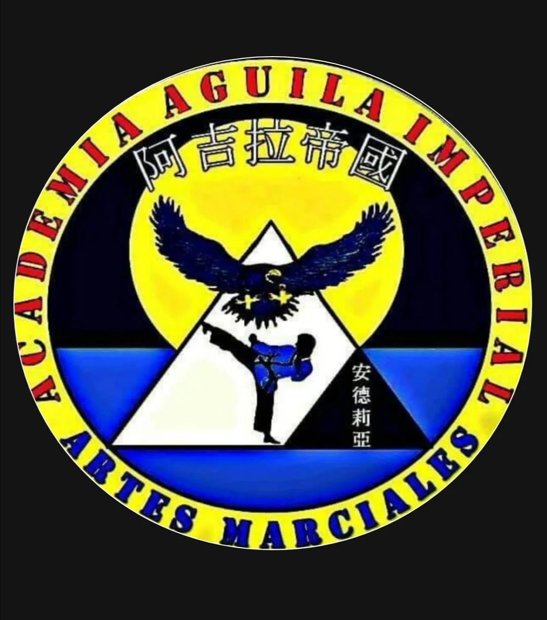 Academia Aguila Imperial Artes Marciales