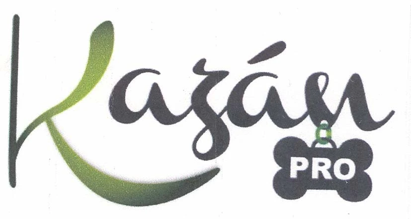 Kazán PRO