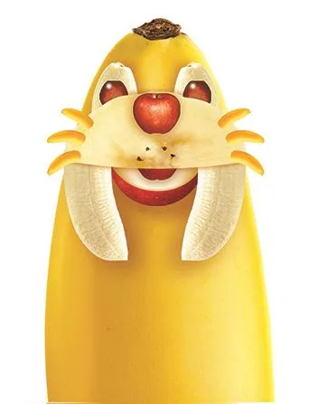 Acta 1135218