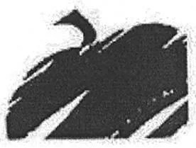Acta 1173218
