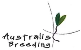AUSTRALIS BREEDING