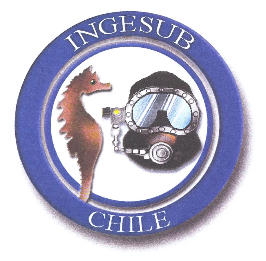 INGESUB CHILE
