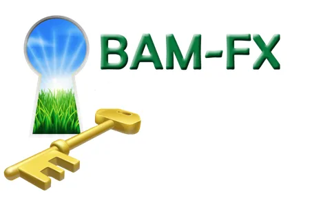 BAM FX