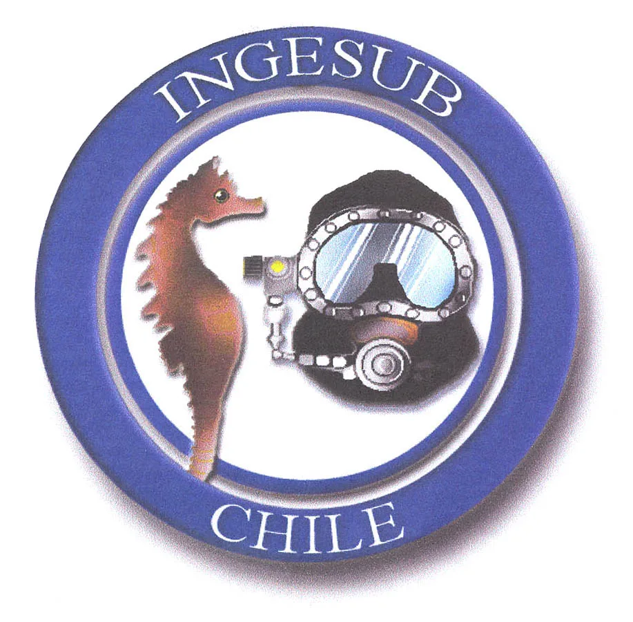 INGESUB CHILE
