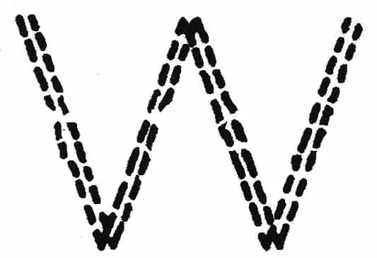W