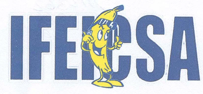 IFEICSA