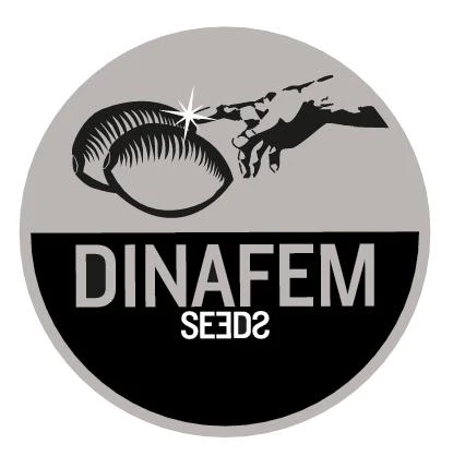 DINAFEM SEEDS