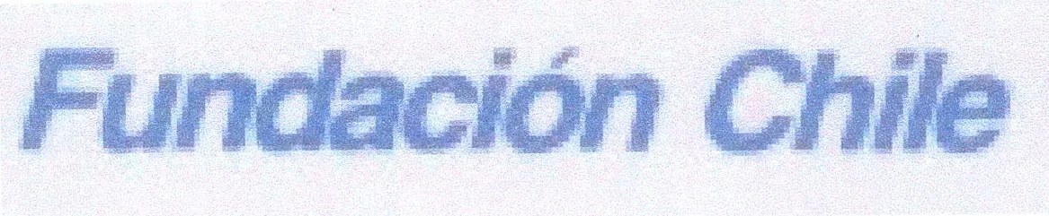FUNDACION CHILE