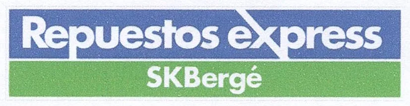 REPUESTOS EXPRESS SKBERGE