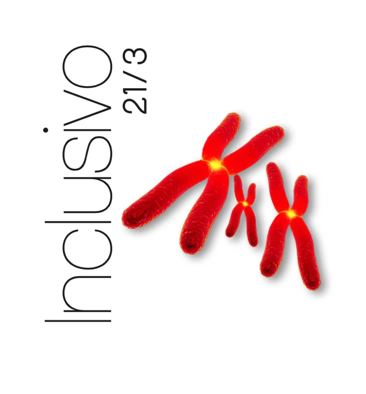 Inclusivo 21/3